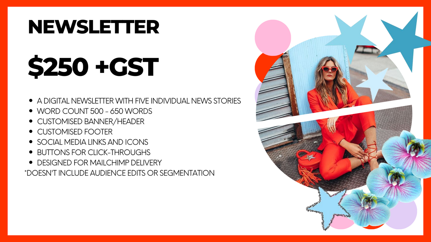 Newsletters, Salon EDM Campaigns