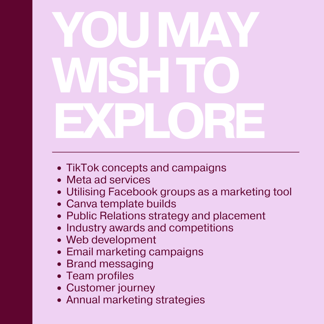 BLACK FRIDAY OFFER- 3 hour mentor package only $300