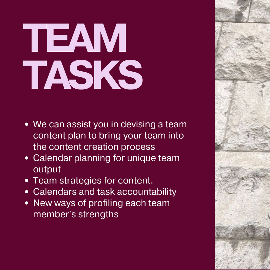 BLACK FRIDAY OFFER- 3 hour mentor package only $300