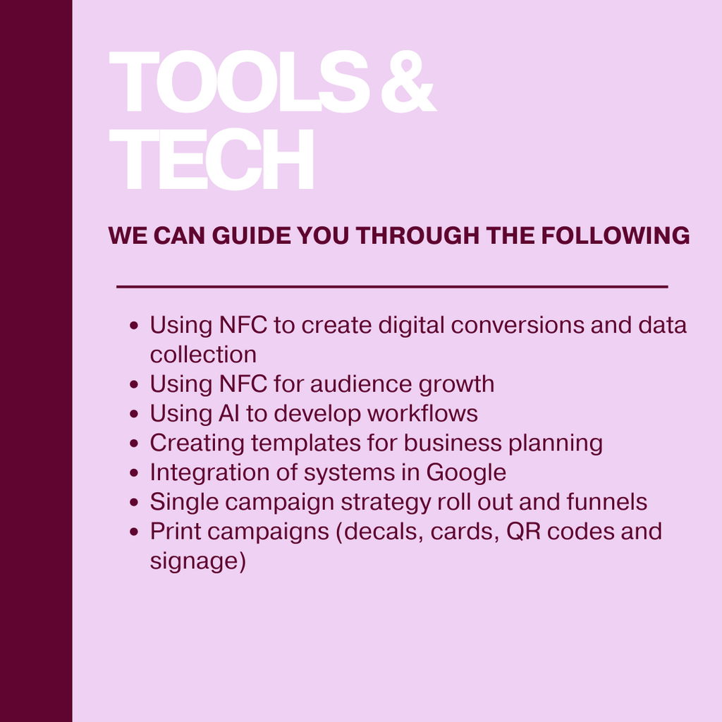 BLACK FRIDAY OFFER- 3 hour mentor package only $300