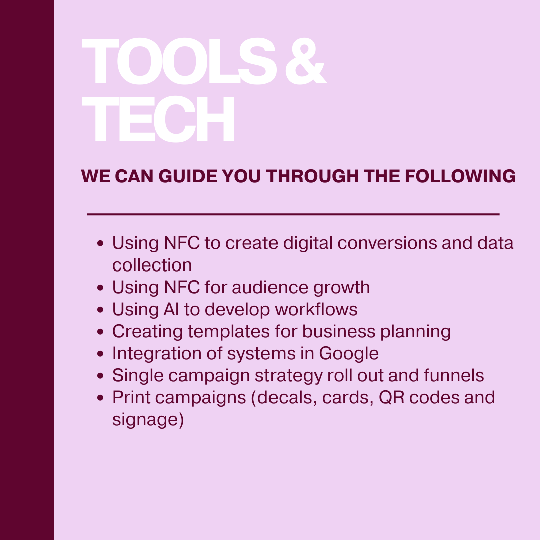 BLACK FRIDAY OFFER- 3 hour mentor package only $300